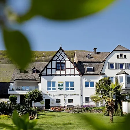 Moselgarten - Goldschlaefchen Apartamento