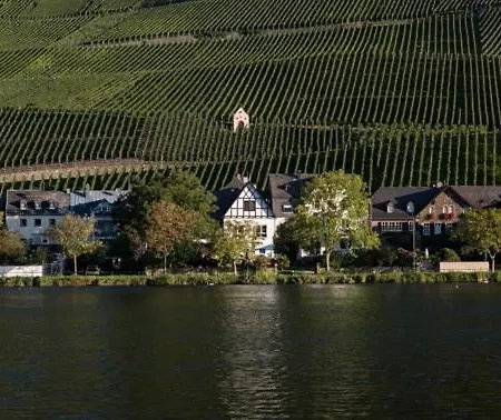 Moselgarten - Goldschlaefchen Apartamento